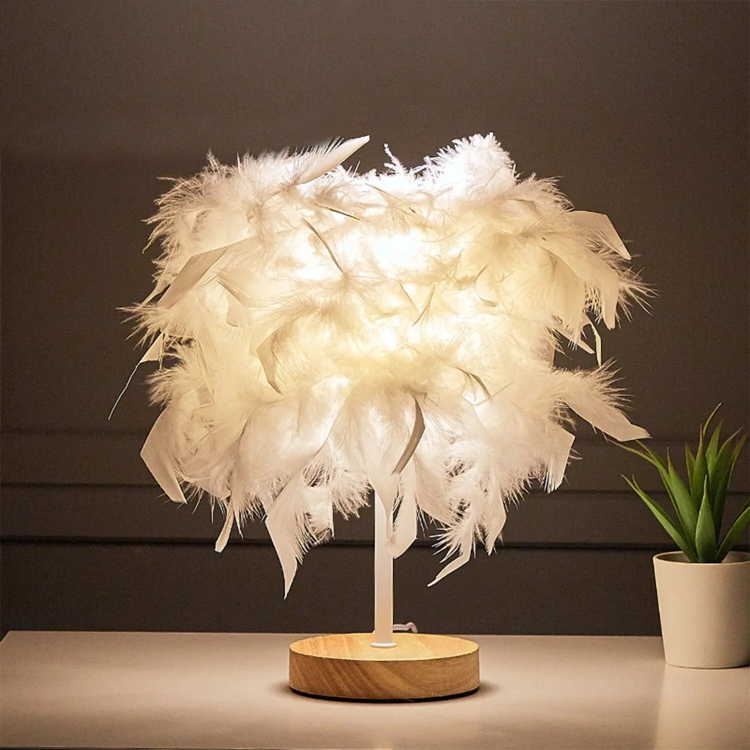 Feather lamp tableandwalllamps