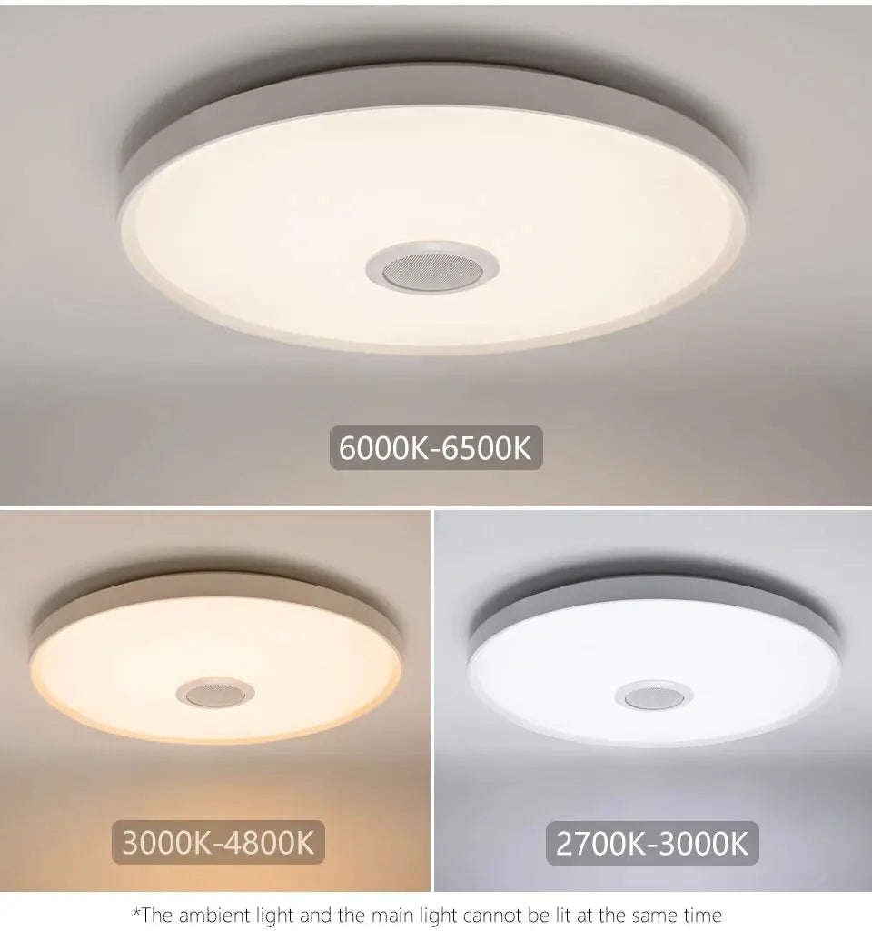 Modern Ceiling Light Tuya Smart Light 220V Music Light Dimmable Remote Control Home Lighting For Bedrooms And Living Rooms tableandwalllamps